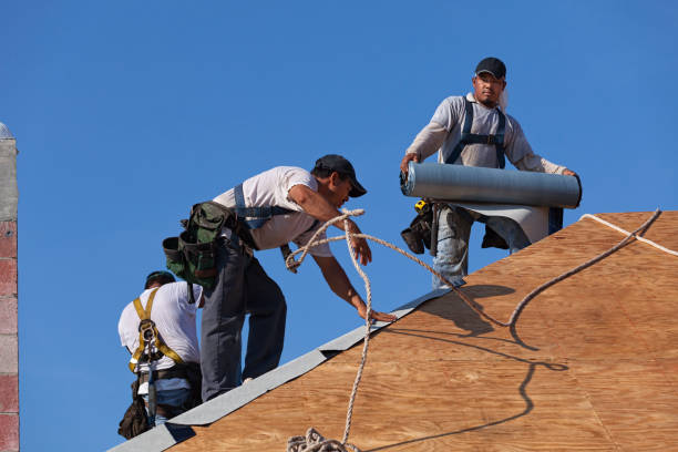 Best Roof Repair Services  in Crandon, WI